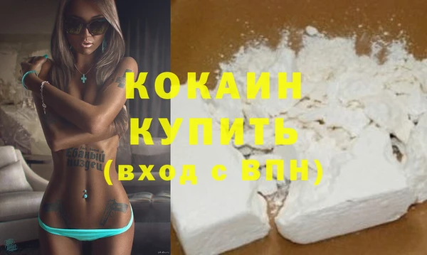 гашик Няндома