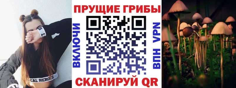 Псилоцибиновые грибы GOLDEN TEACHER  Тара 