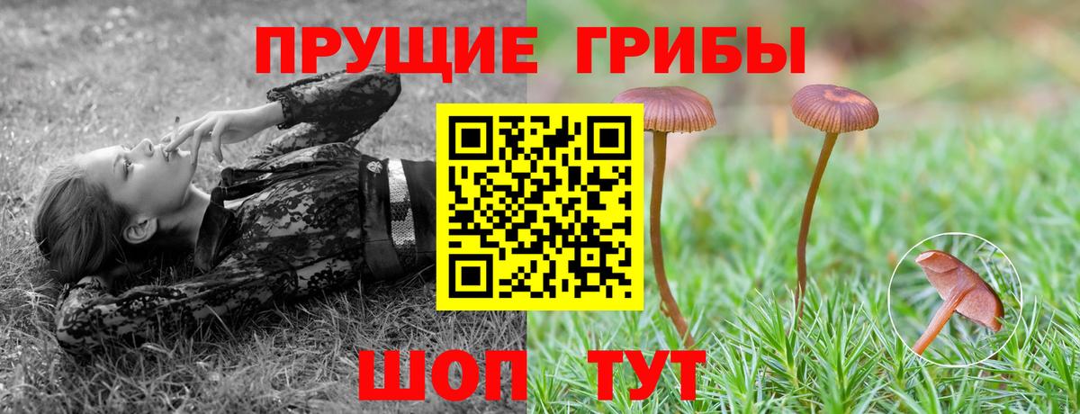 ГАШИШ  Тара  Купить наркотик  ЭКСТАЗИ  MDMA  Вход с VPN  Мефедрон   Гашиш  Кокаин 