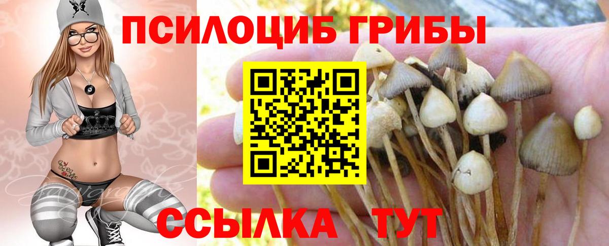 Тара  Галлюциногенные грибы мицелий  Вход с VPN 