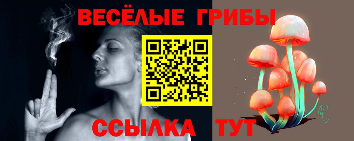 Галлюциногенные грибы прущие грибы Тара